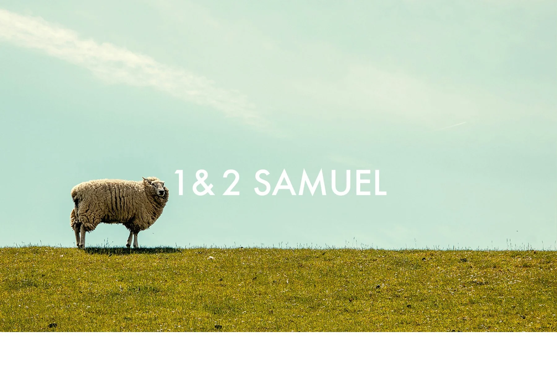 1and2Samuel webslide copy.jpg