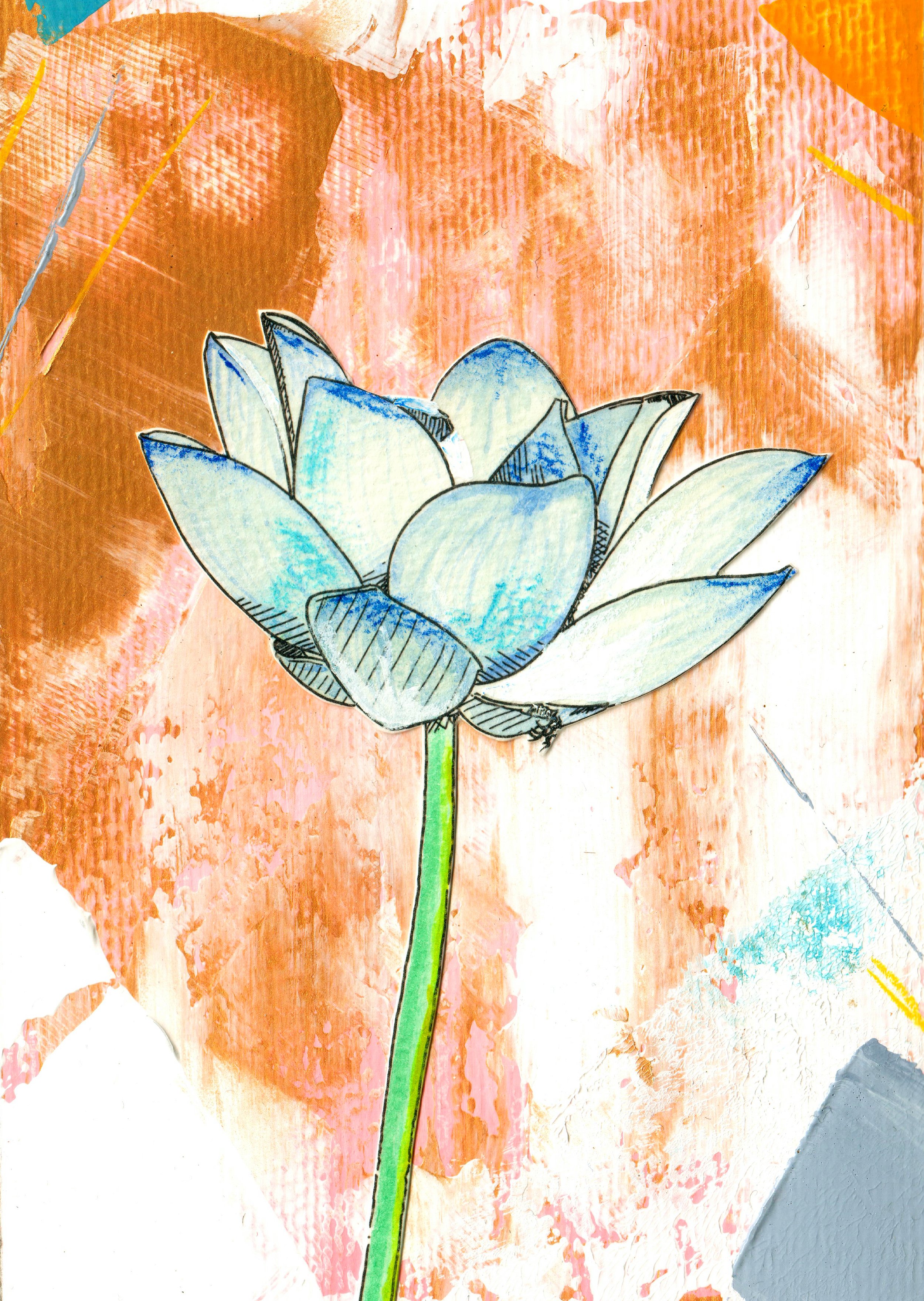Blue Lotus 2.jpg