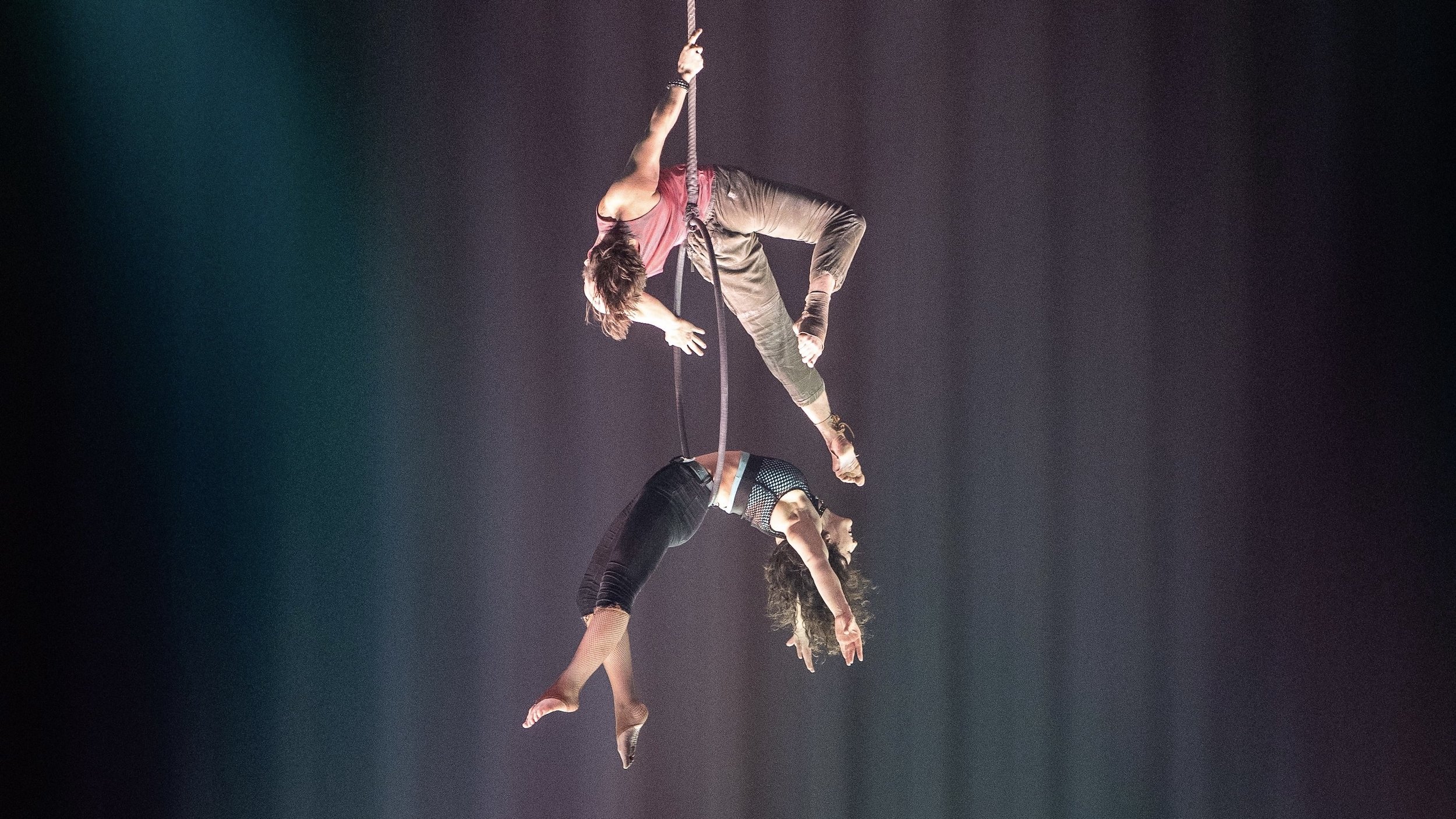  Renee Choi Photography 