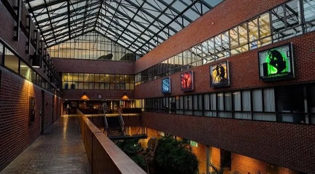 The Transfer Student Survival Guide — Figuring Out Life Inside UF’s College of Journalism and Communications