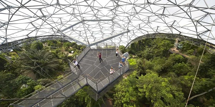 rainforest-lookout-hufton-and-crow.jpg