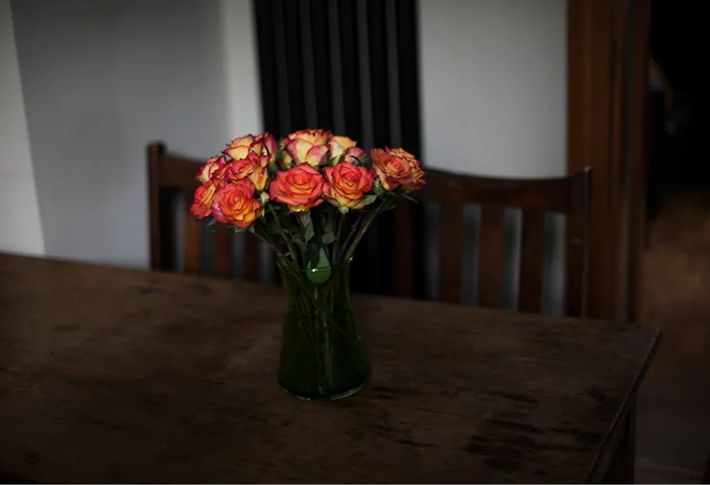 Photography by Maaike Mekking .