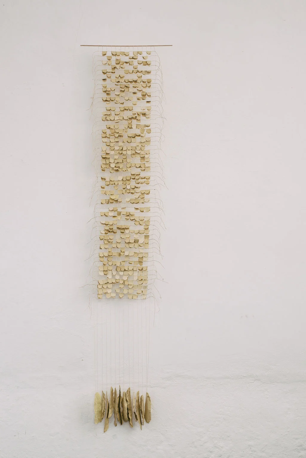 Jane Ponsford, photo by Genevieve Lutkin