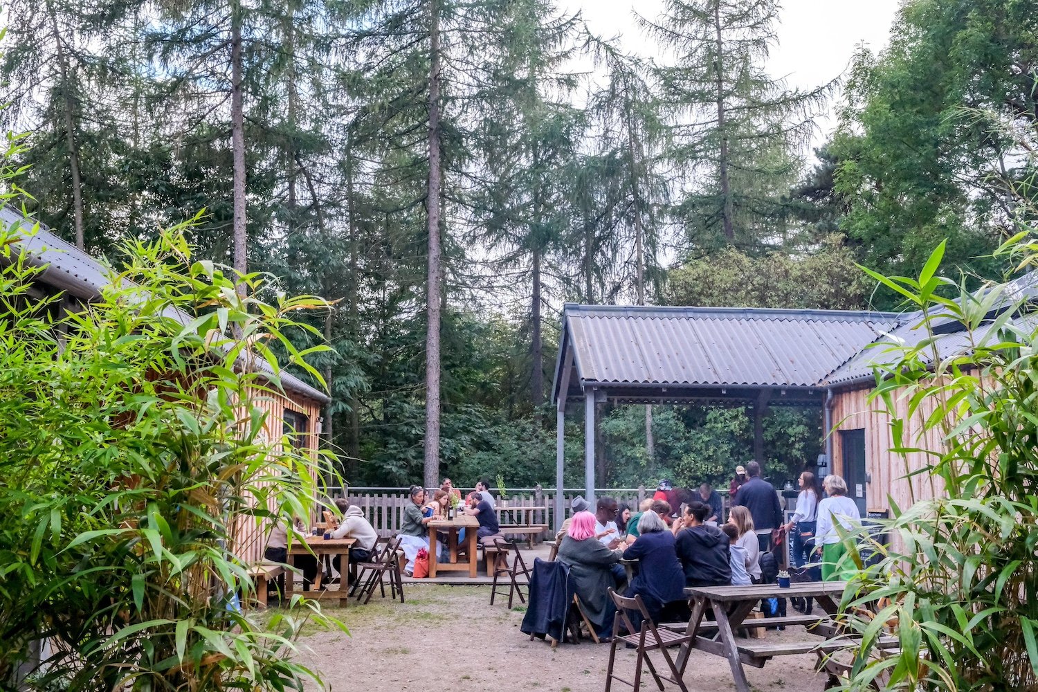 Larchwood Studio restaurant amongst the trees.jpeg