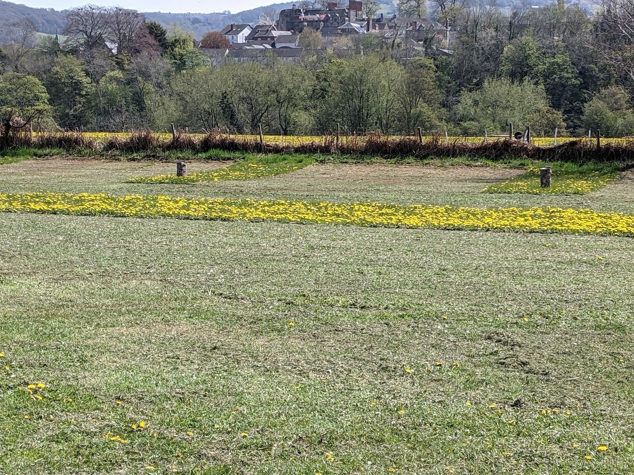 Racquety Farm Powys Grass Pitches.jpg