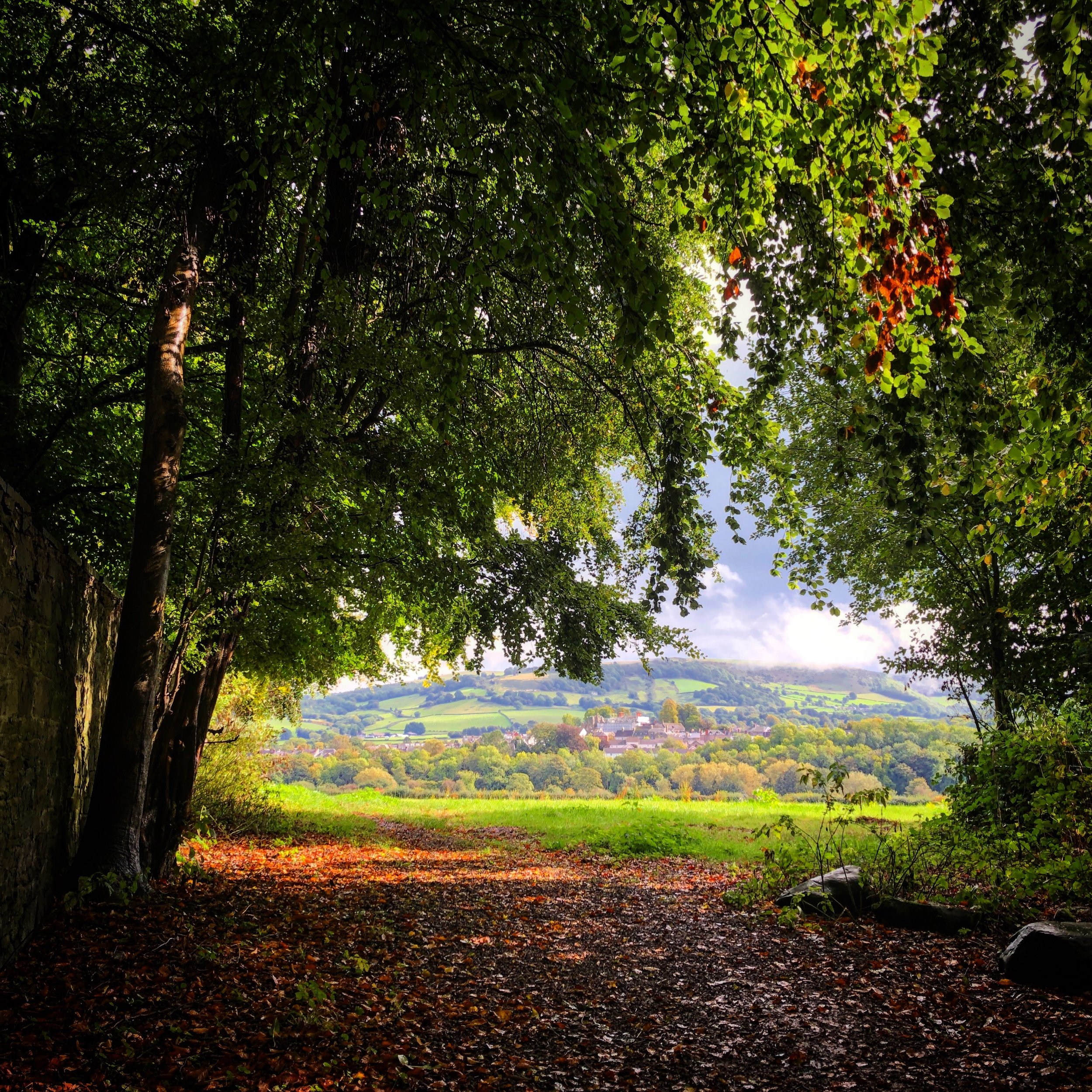 Racquety Farm Hay on Wye Camping 16.jpg