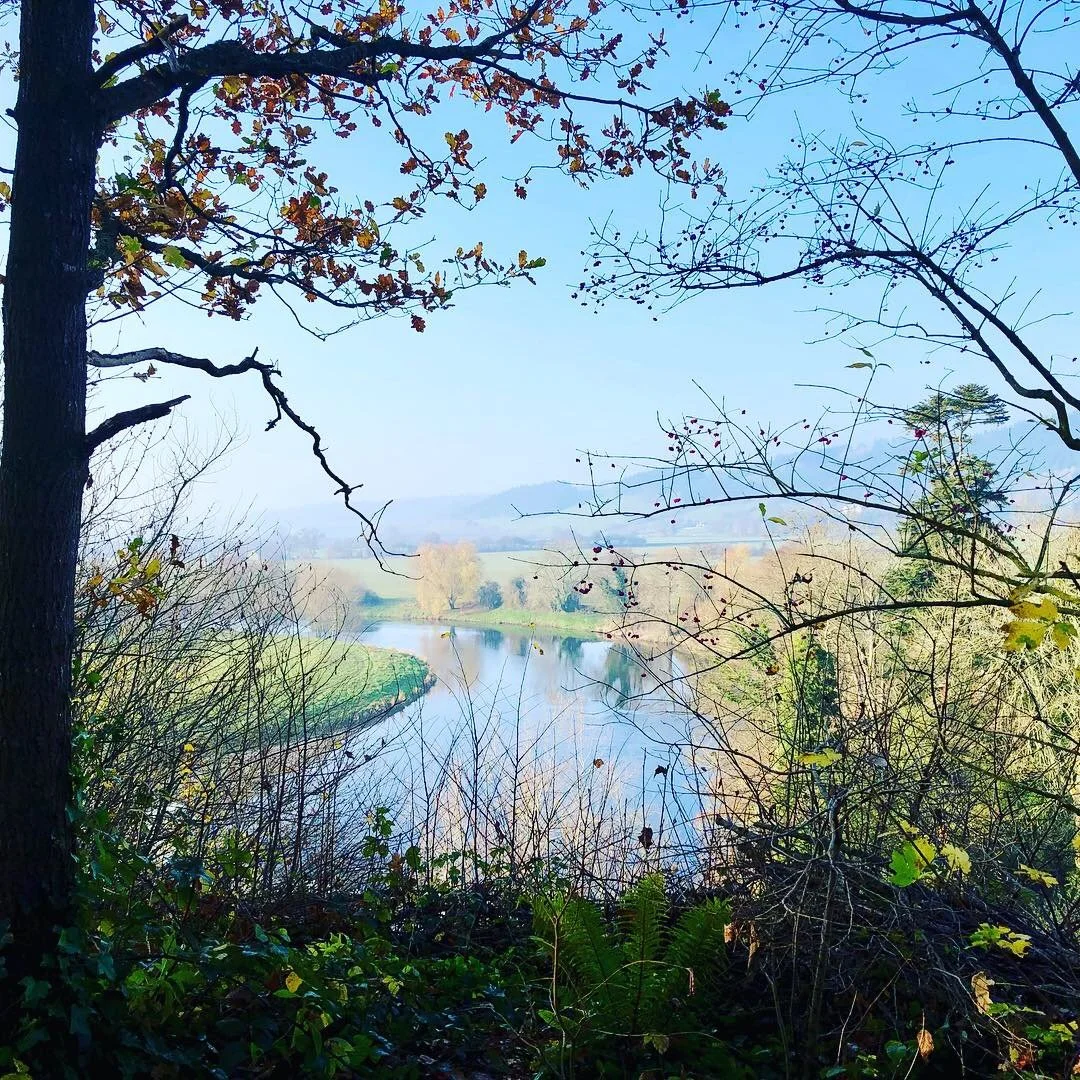 Racquety Farm Hay on Wye Camping 1.JPG