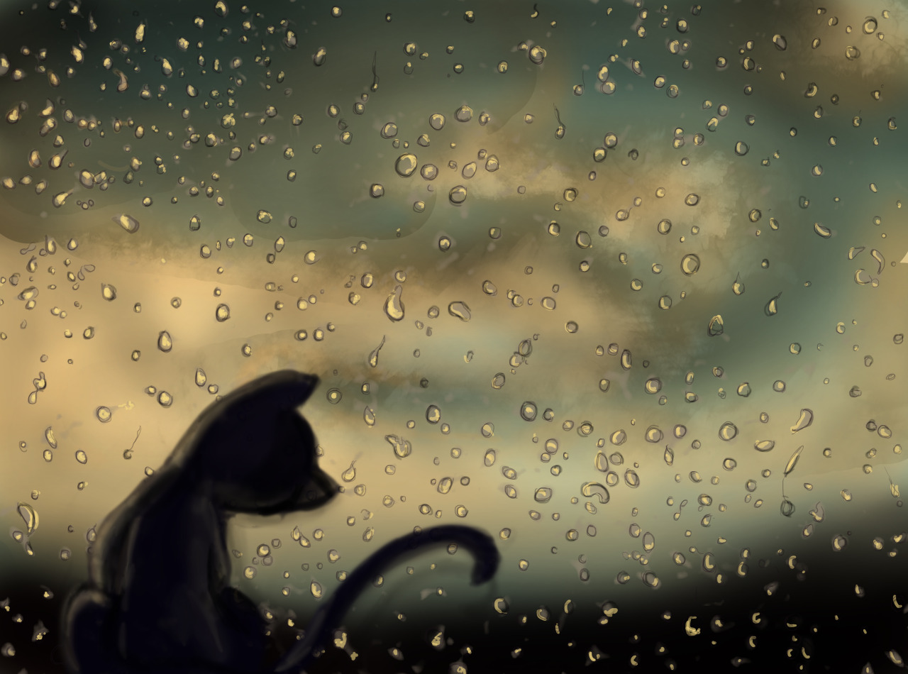 Them rainy days.