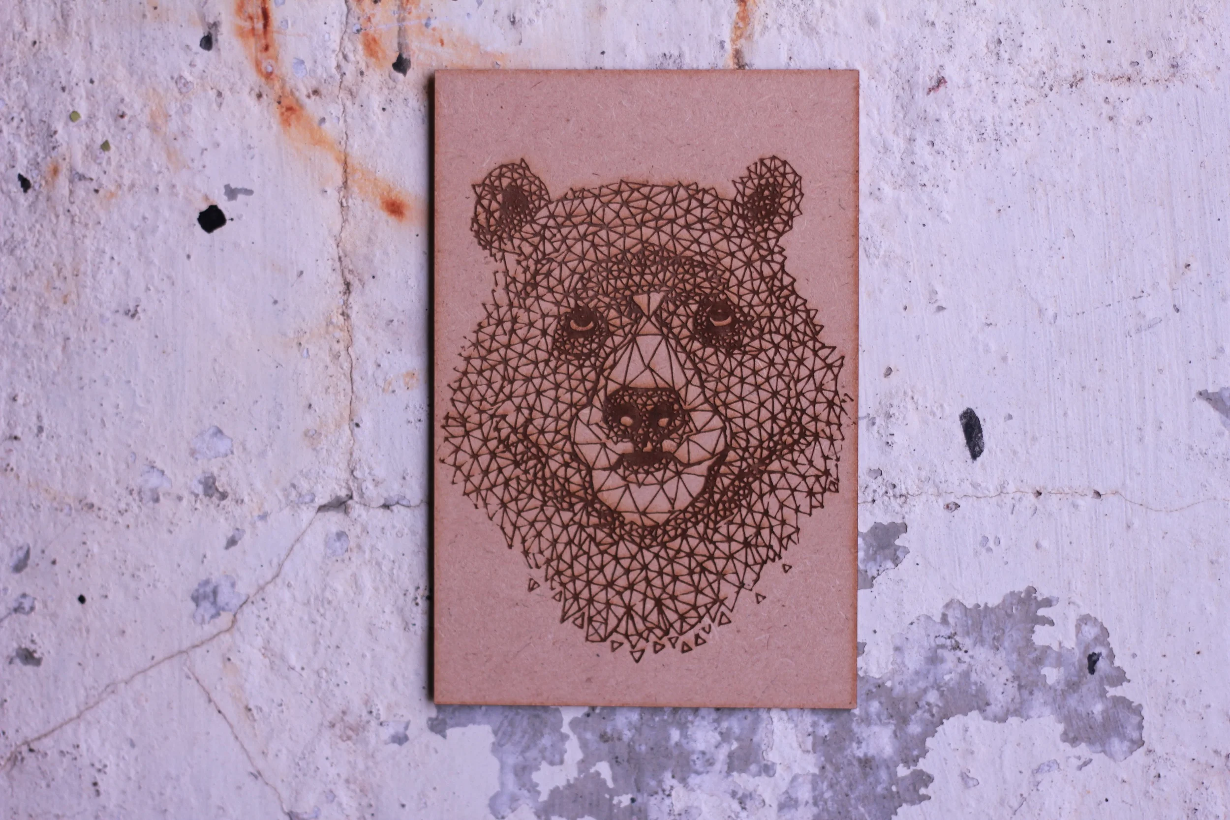 Bear necessities!