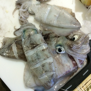 Make sure to buy fresh seafood!