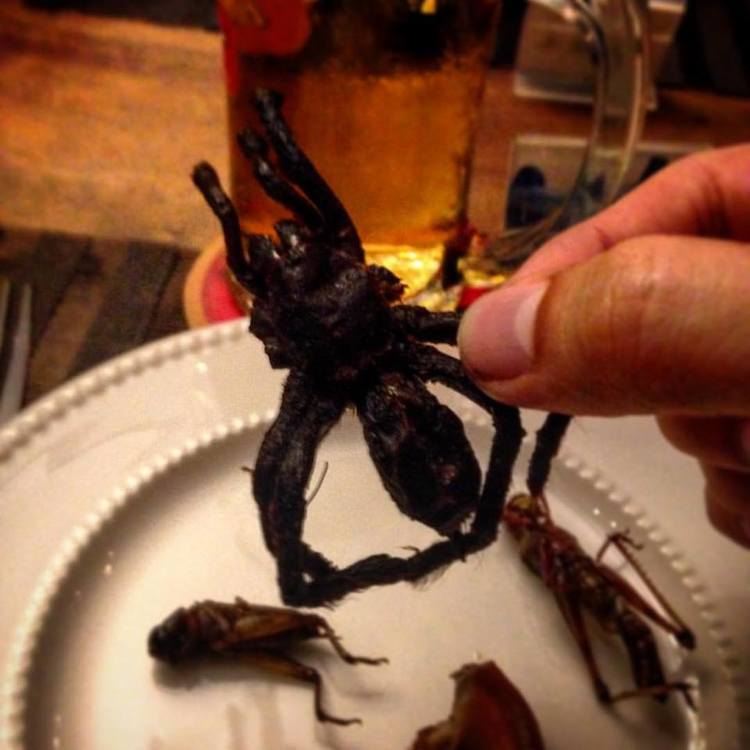 Fried Tarantula. 