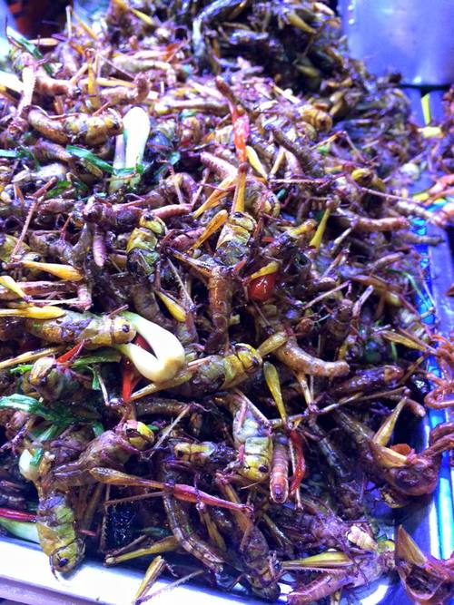 Fried Grasshoppers