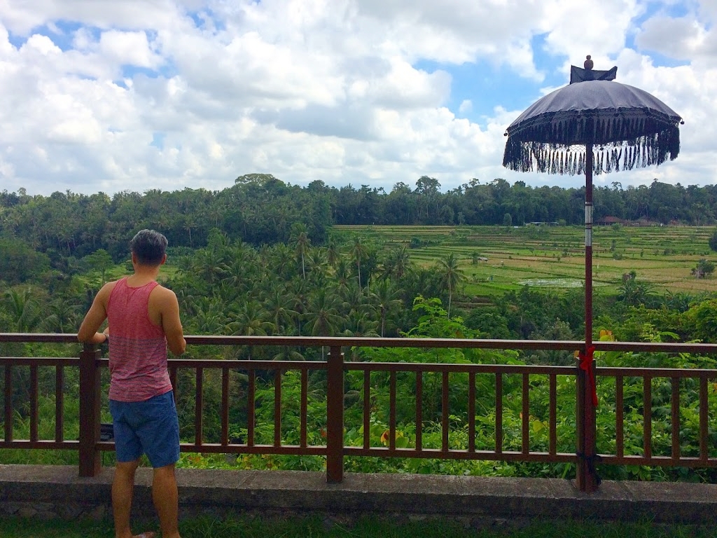 View from our resort, Samaya Ubud.