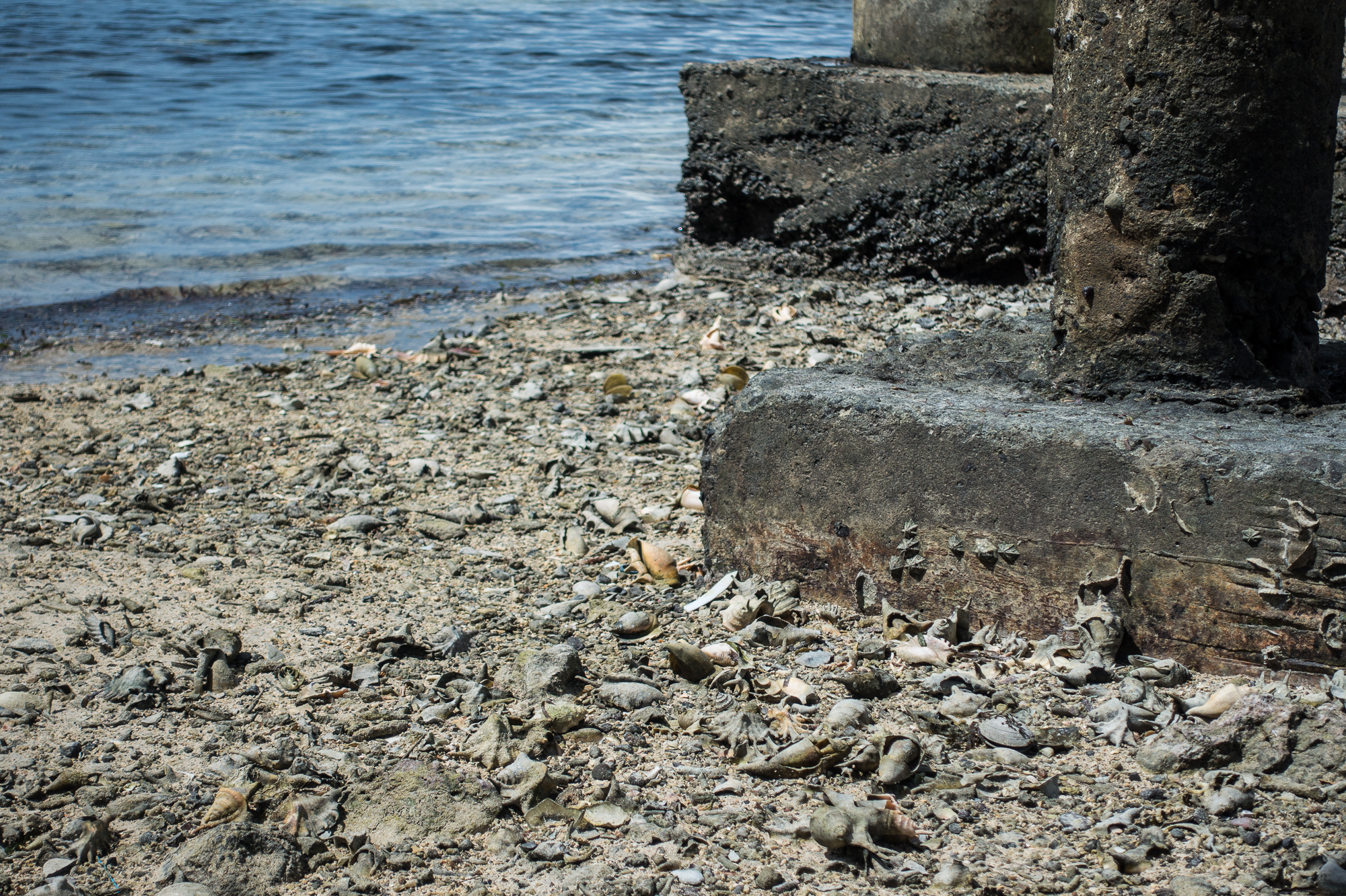 _DSC8399.jpg