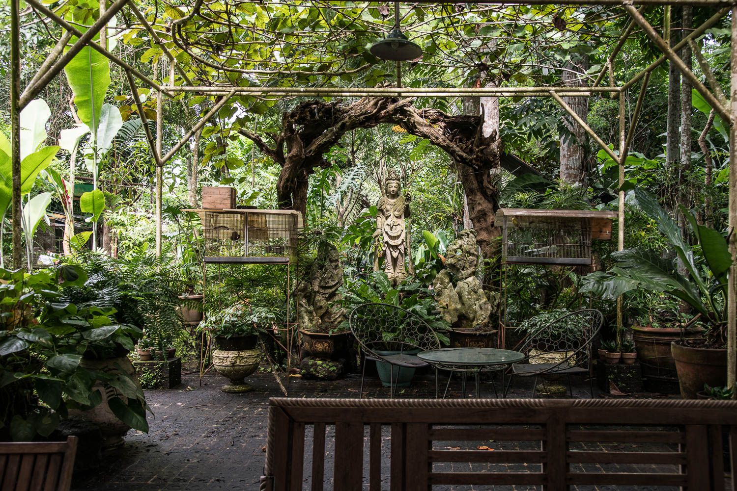 _DSC3361.jpg