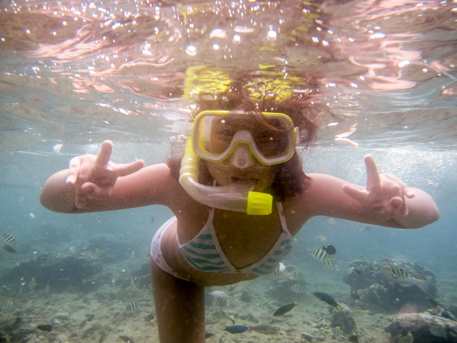 Snorkeling at Balicasag Island