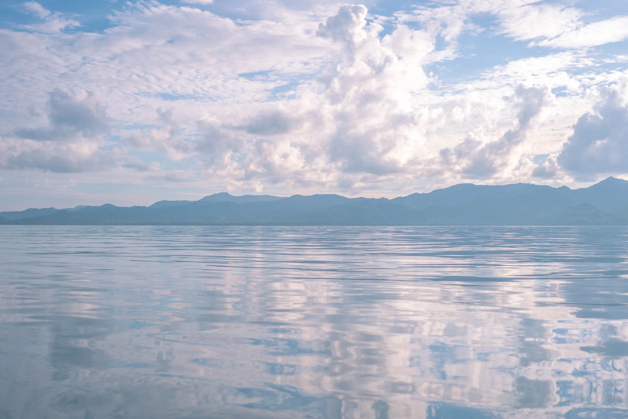 A fleeting moment on a fast speedboat. I feel lucky to have been able to capture it.