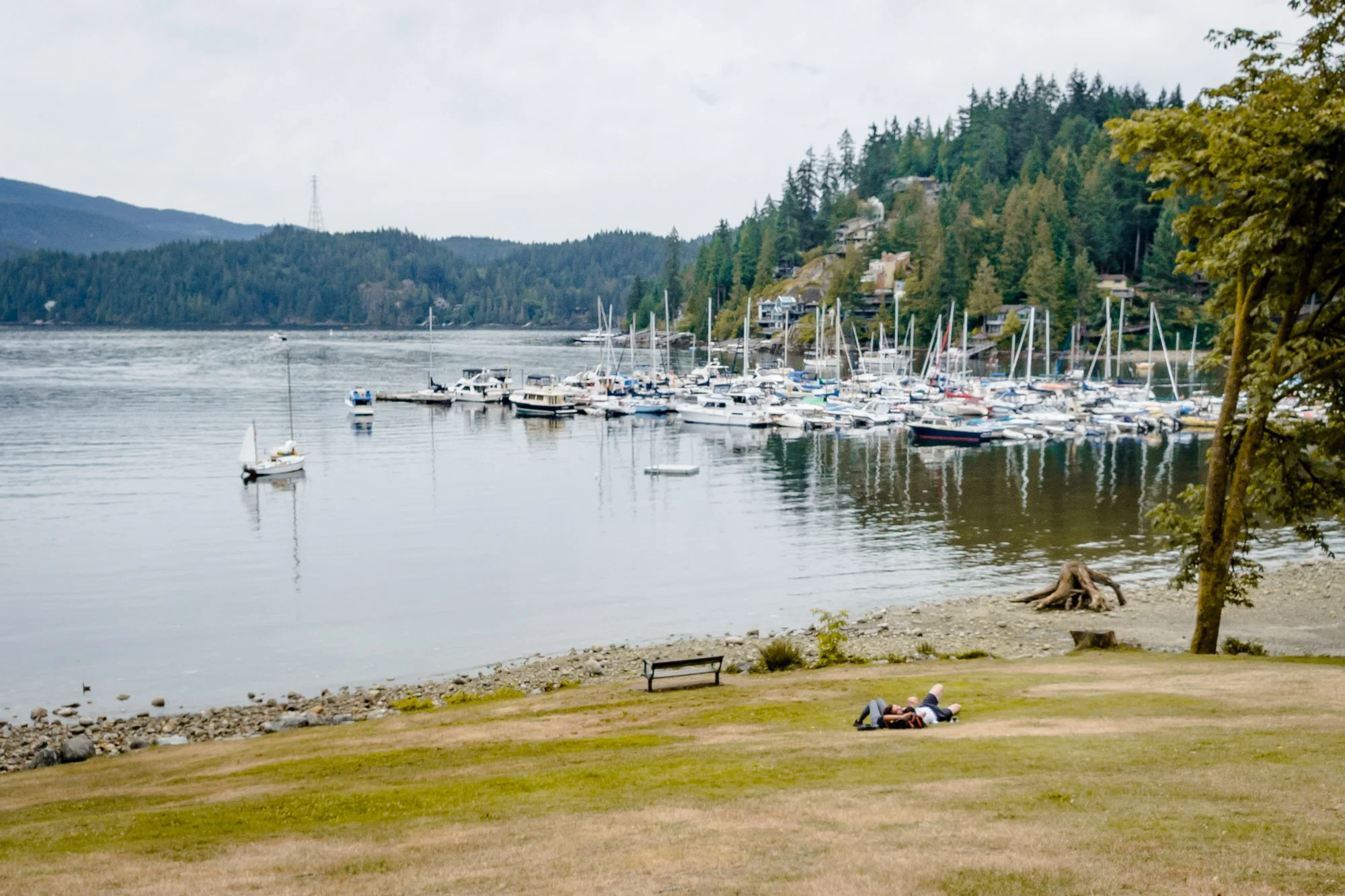 Deep Cove