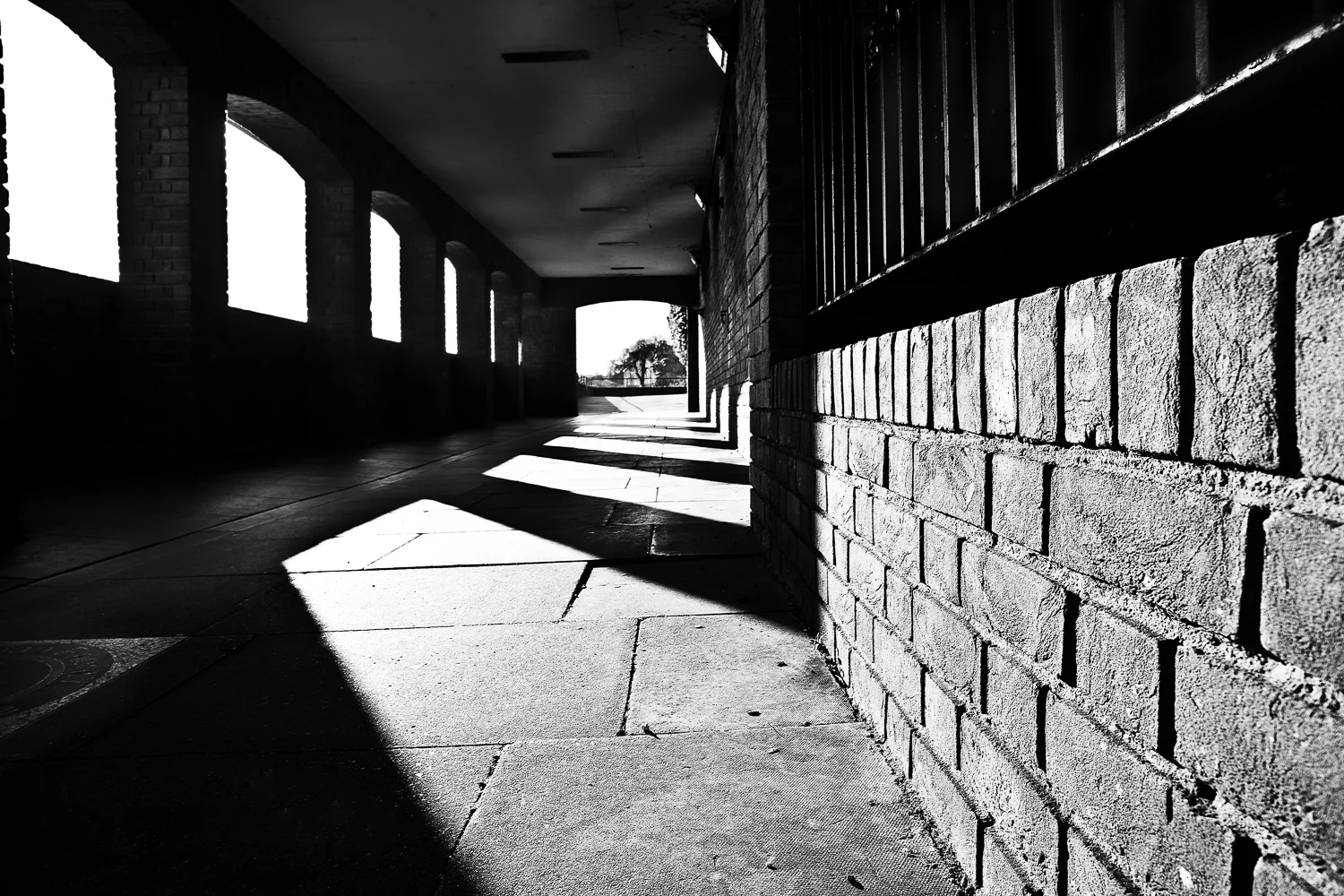 13a_2706.jpg