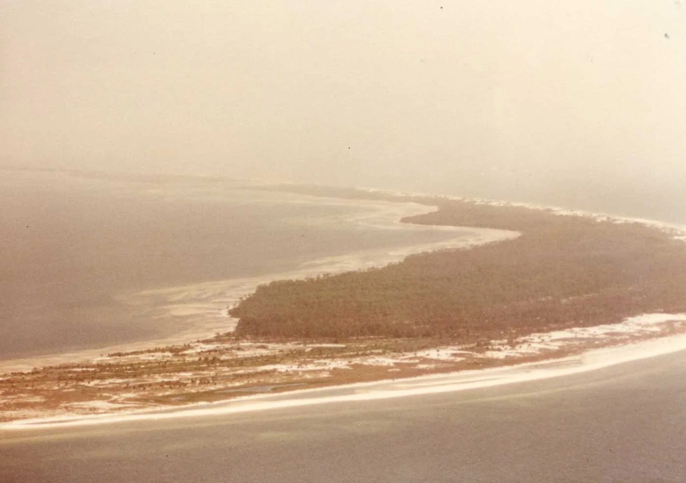 img290.jpg