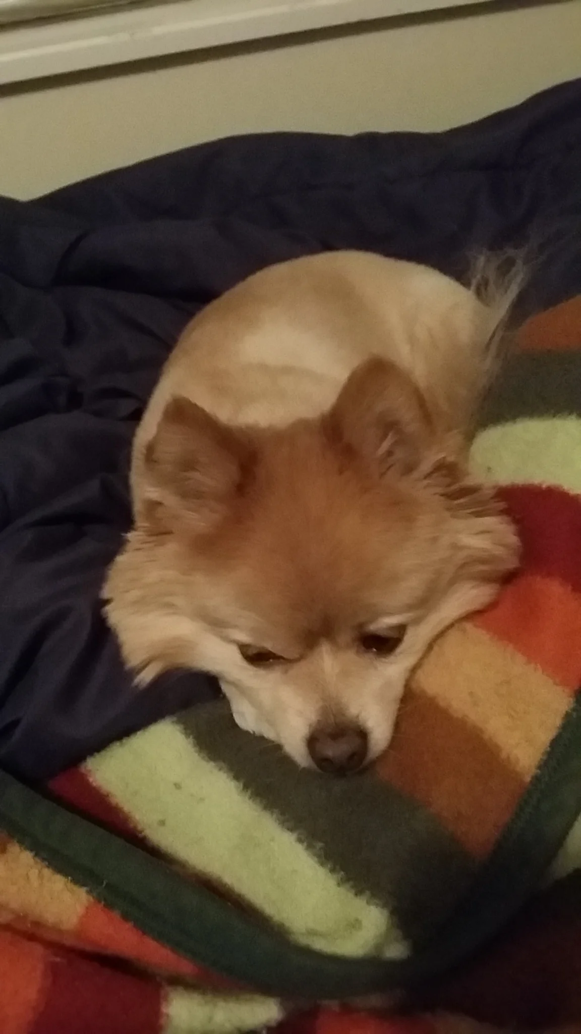 20141124_001853.jpg