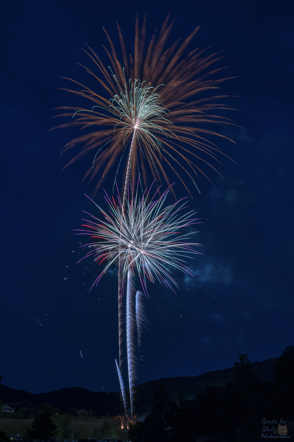 SFS08543.png
