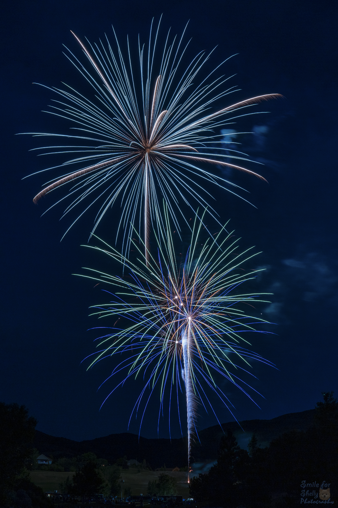 SFS08544.png