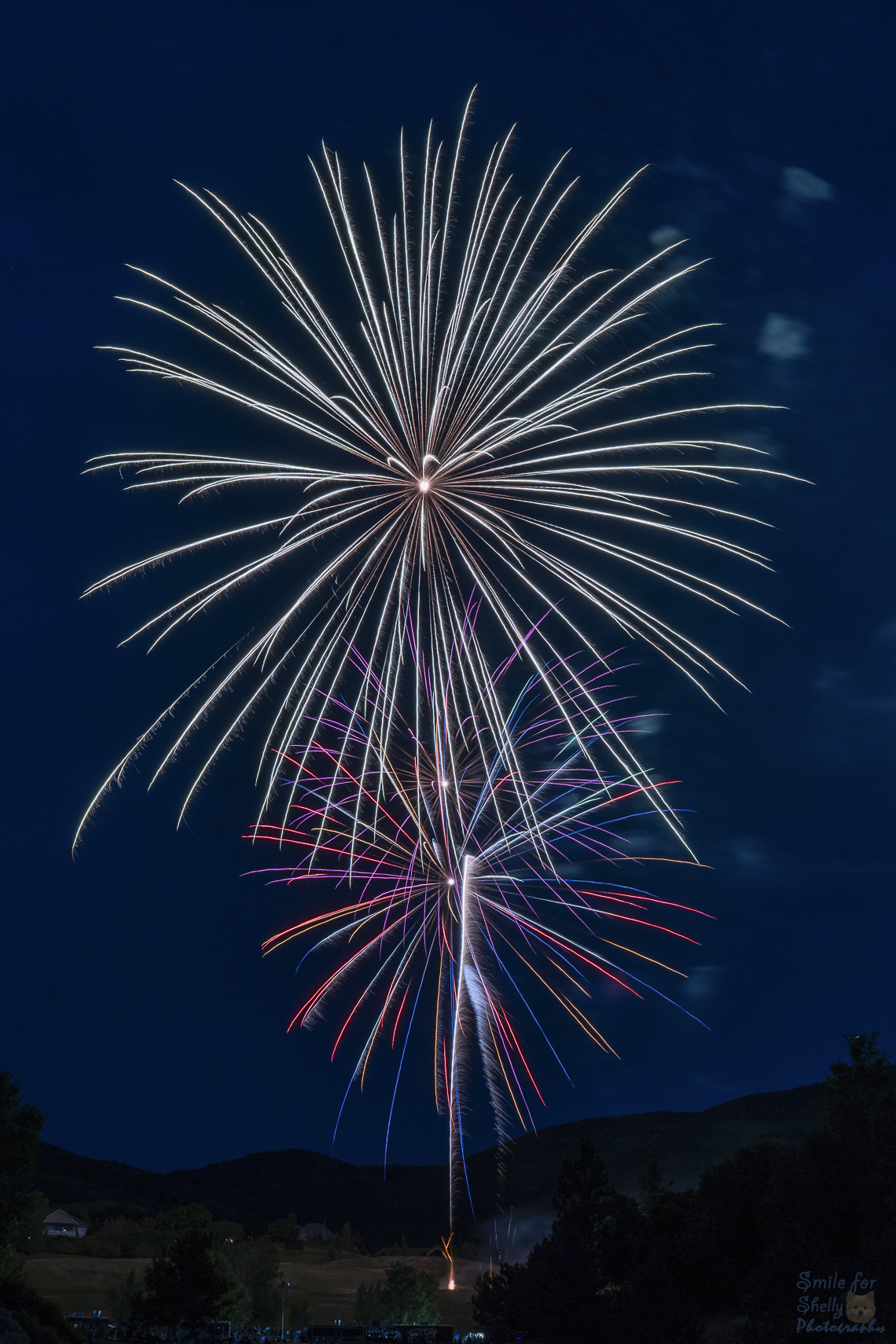 SFS08545.png