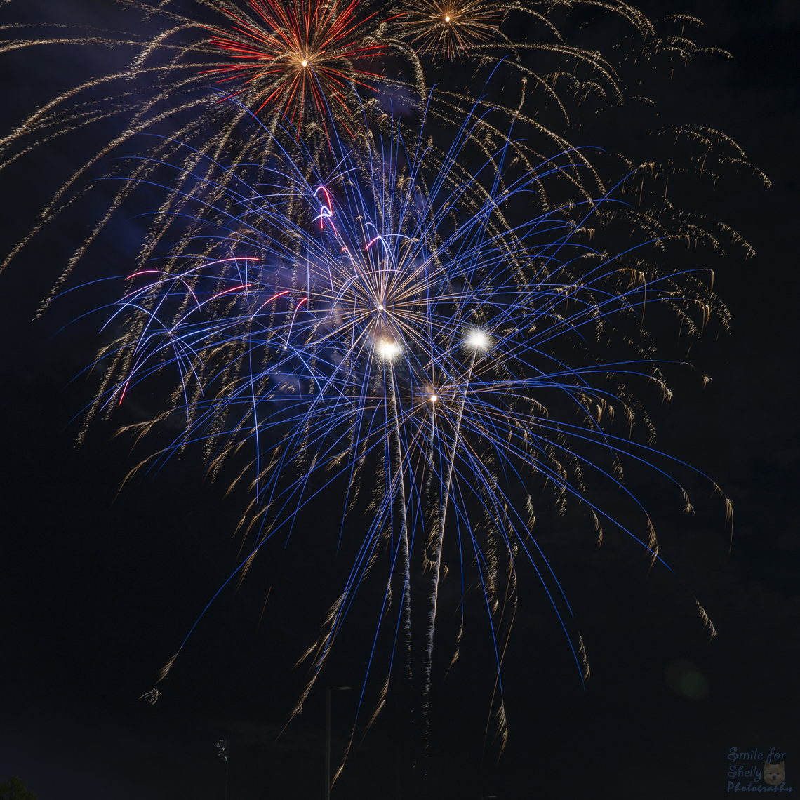 SFS09354.png