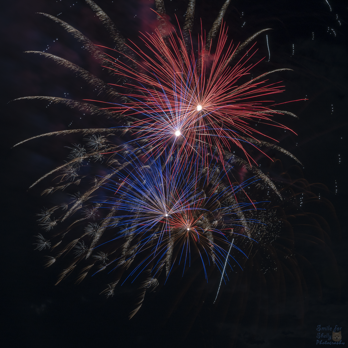 SFS09365.png