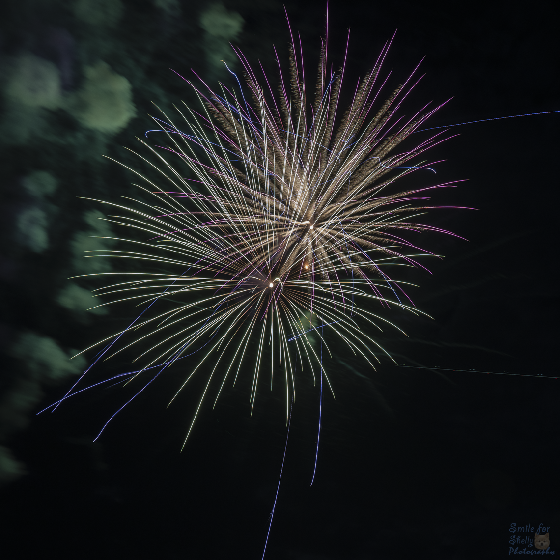 SFS09369.png