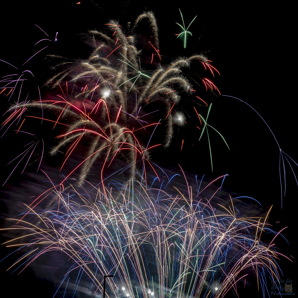 SFS09379.png