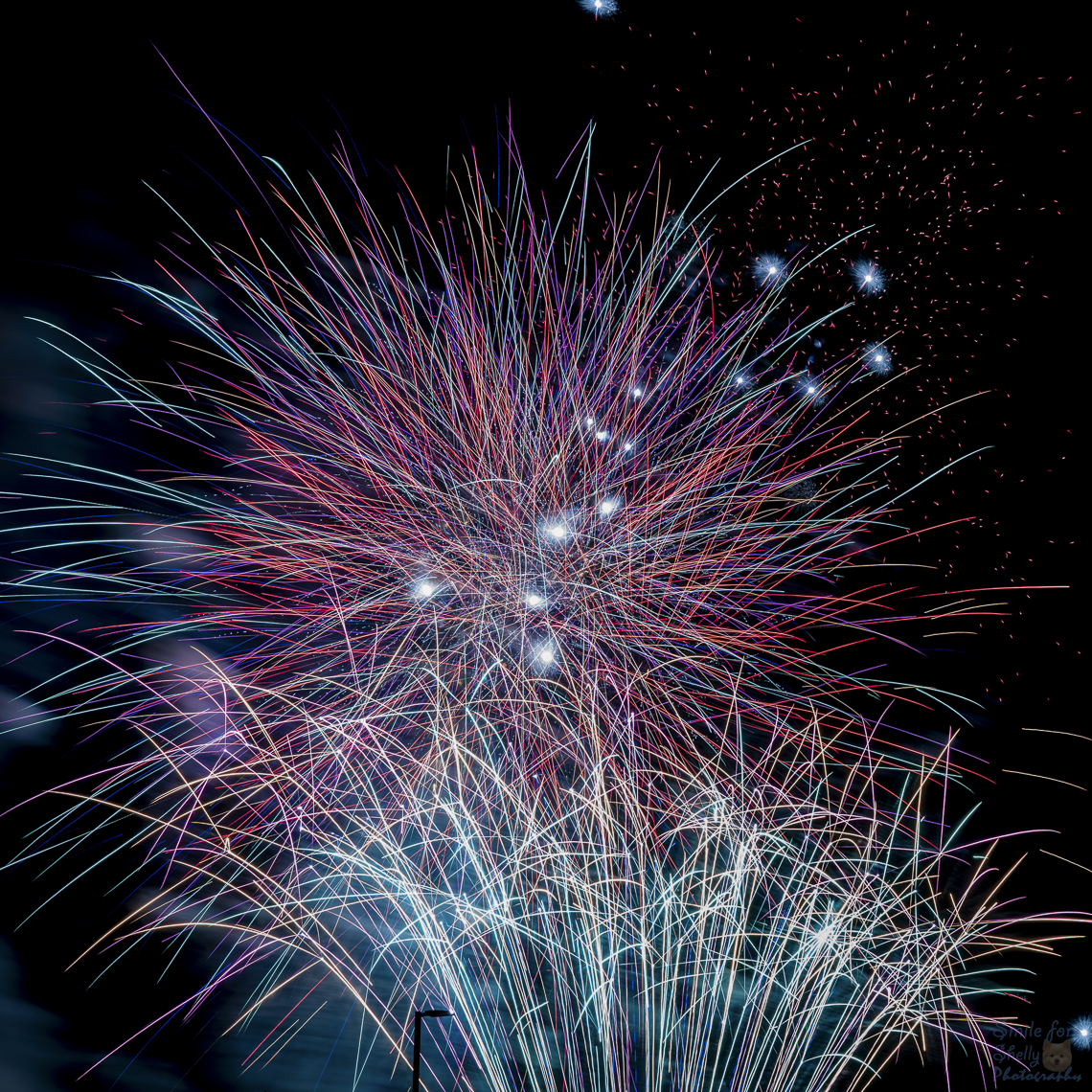 SFS09390.png