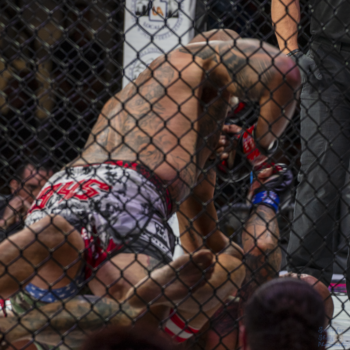 SFS03227.png