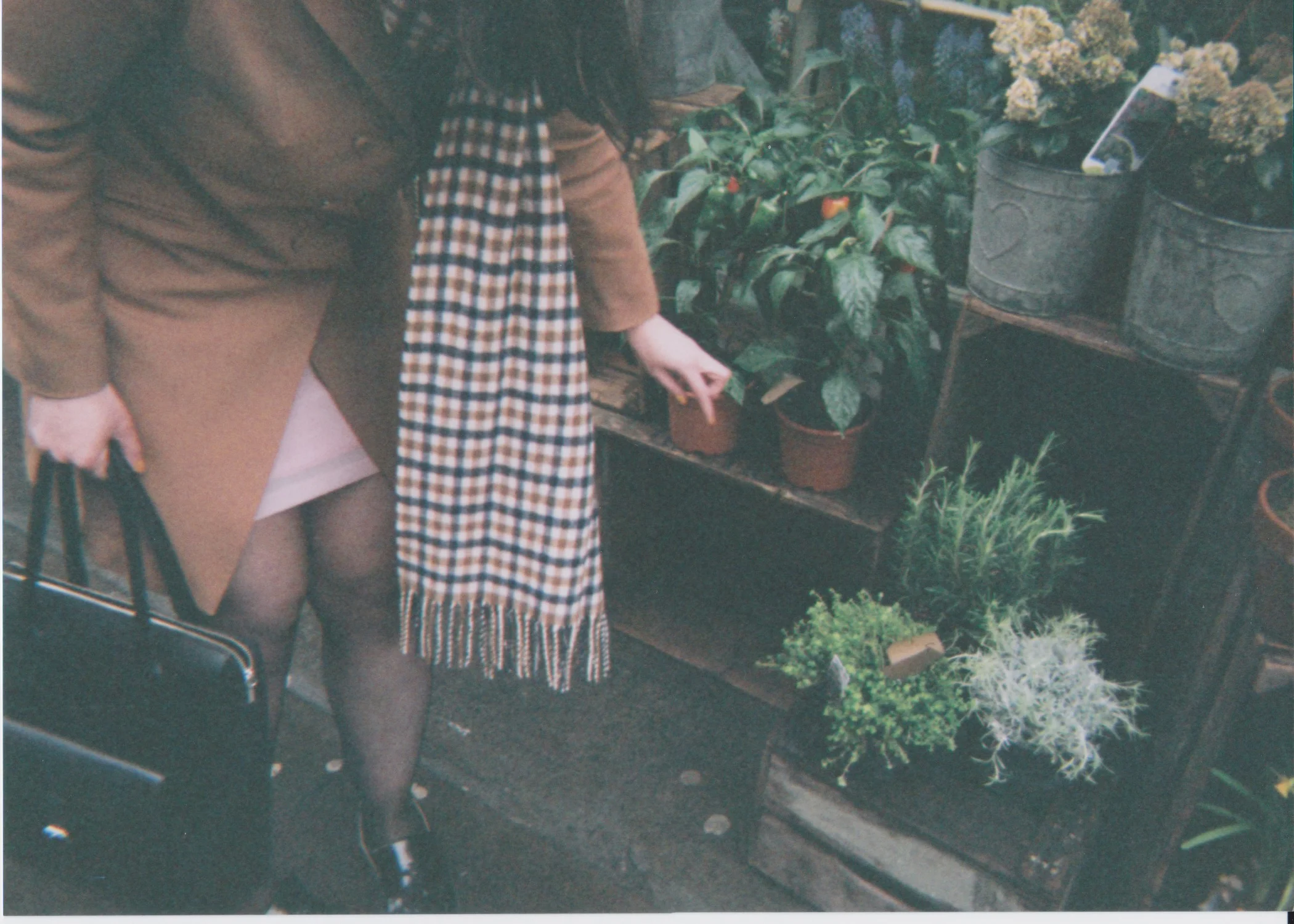 Scan 10.jpeg