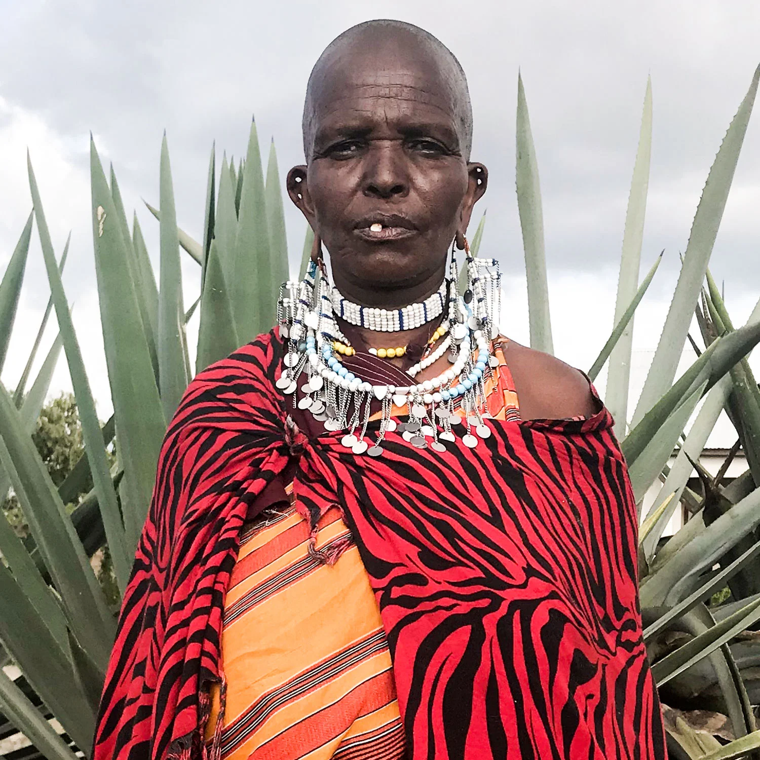 Maria / Lekirumuni Village Embenyeta earring
