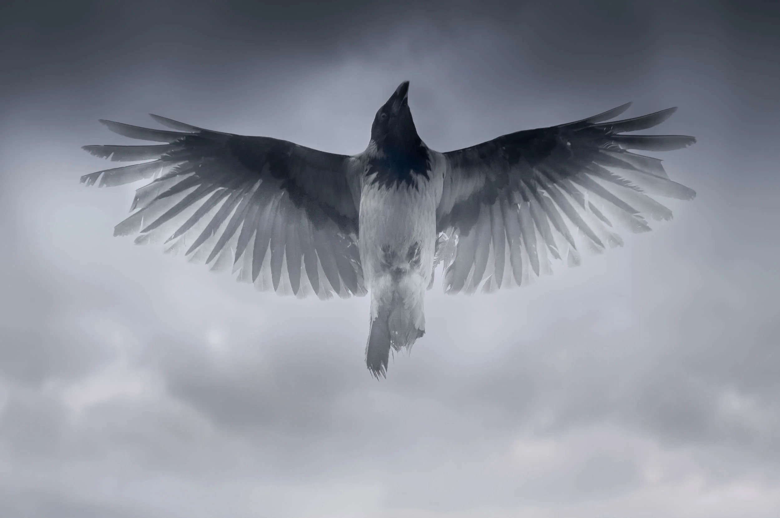 OVERCROW