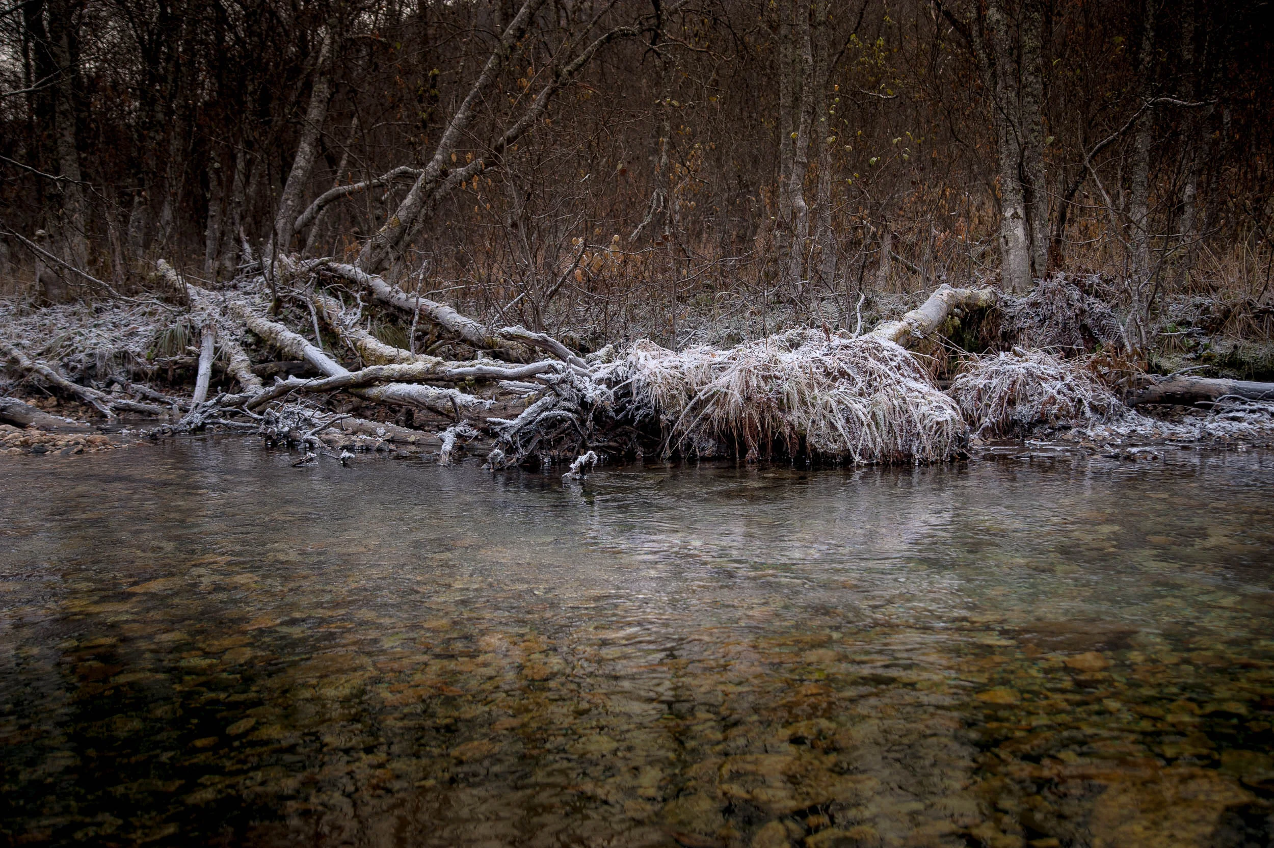 BY THE RIVER
