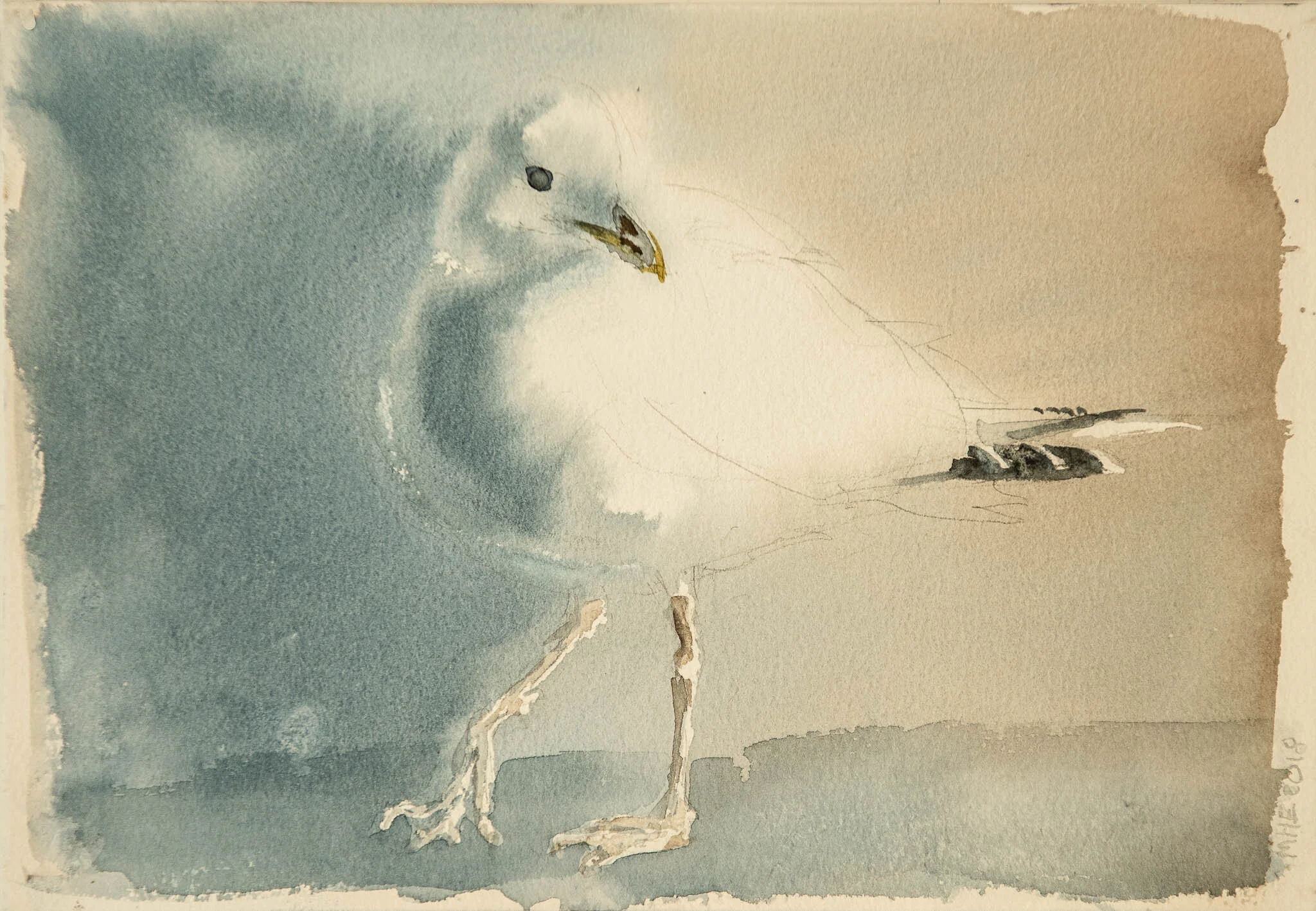 SEAGULL WITH A STIFF ANKLE JOINT