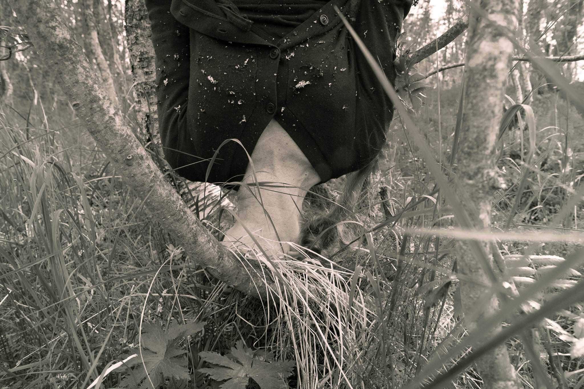 WOODS