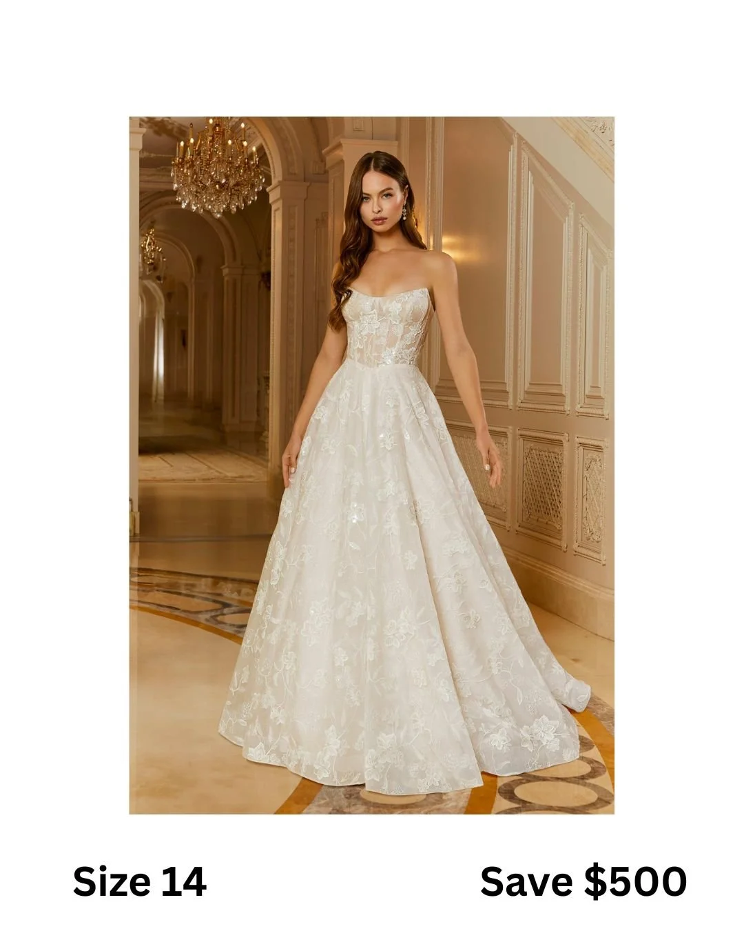 size 24 (14).jpg