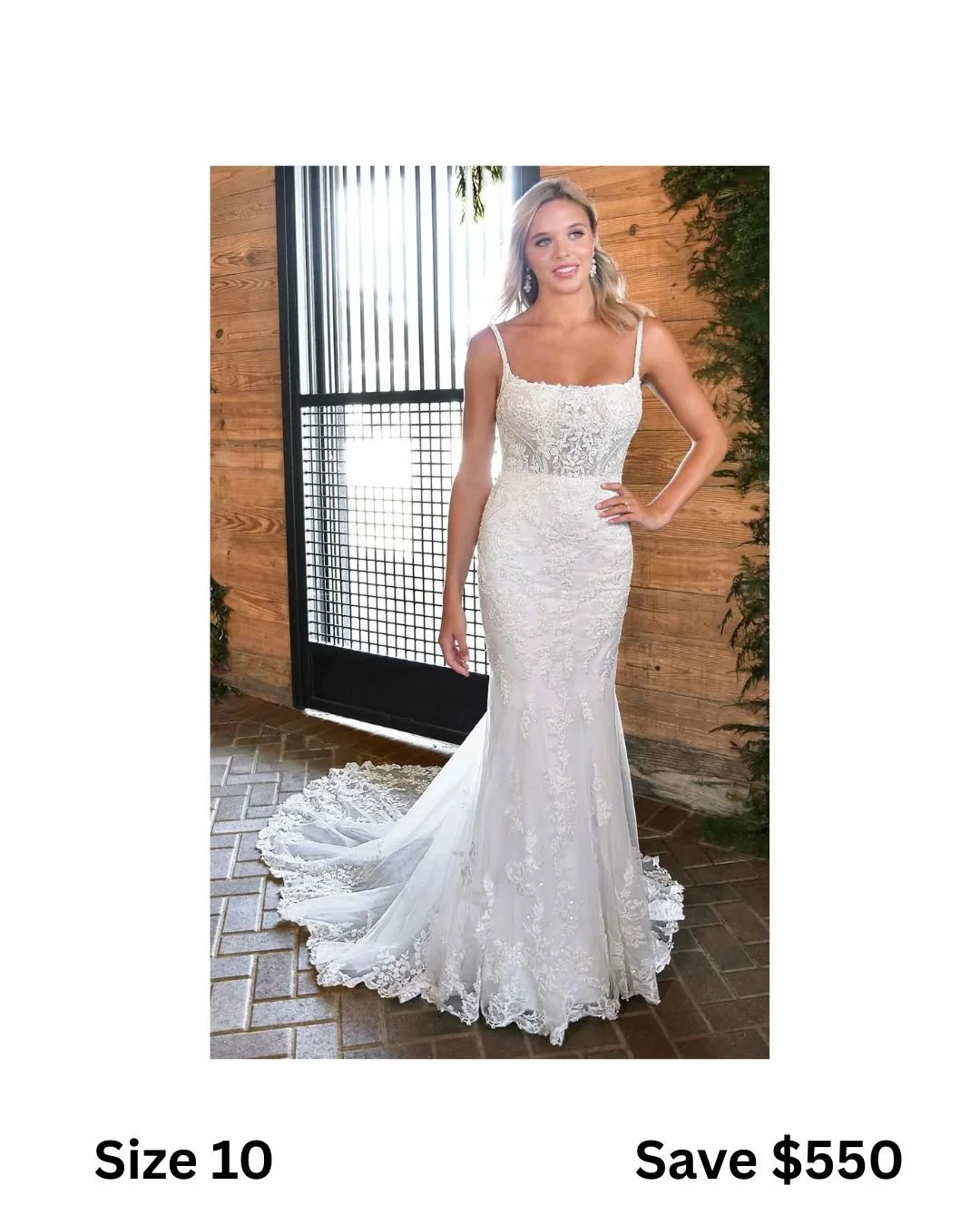 size 24 (21).jpg
