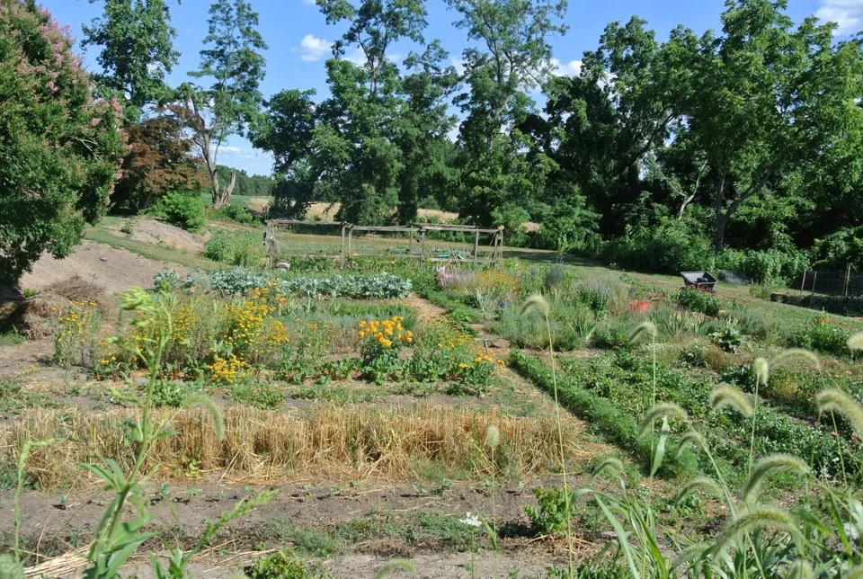 garden.jpg