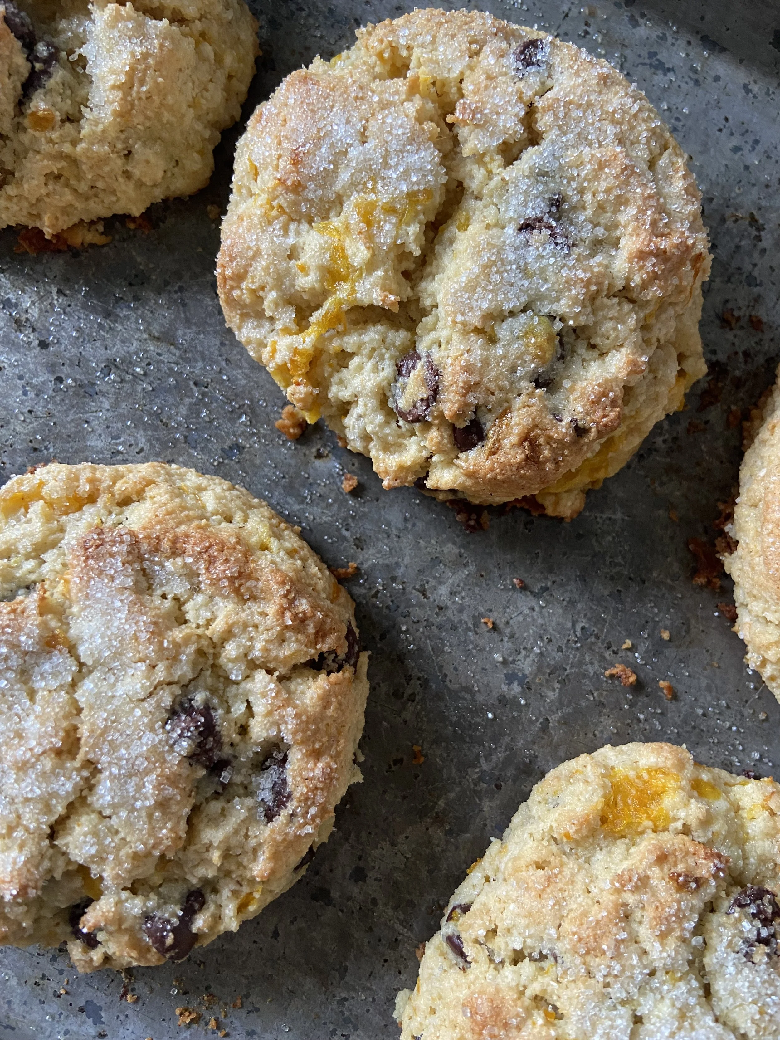 Chocolate Orange Cookies (Pickup at Blue Dog Bakery September 5th 8am-12pm)