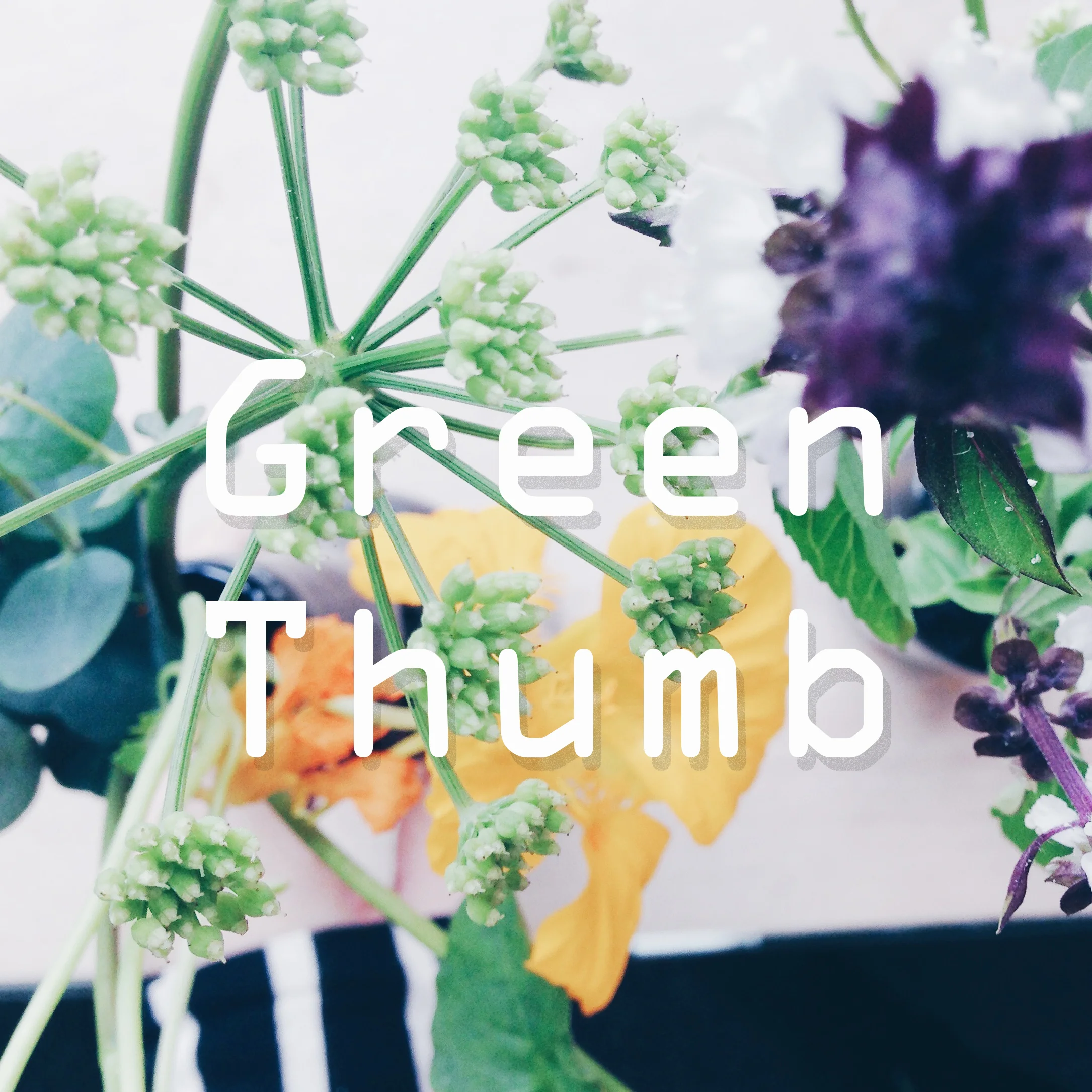 Green Thumb Logo.jpg