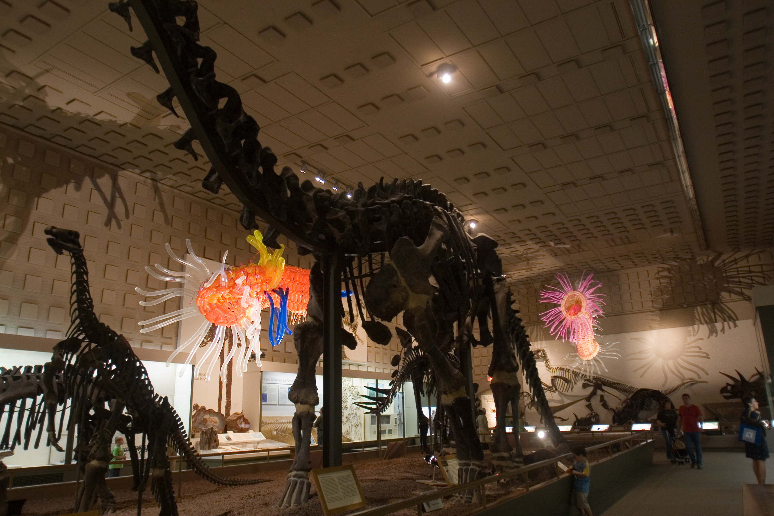 relit_IMG_1009.jpg