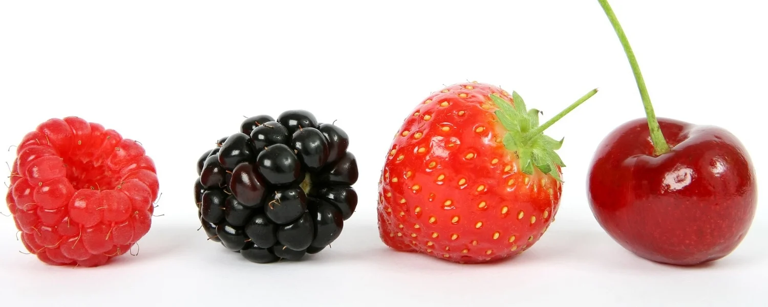 berry-1238249_1920.jpg