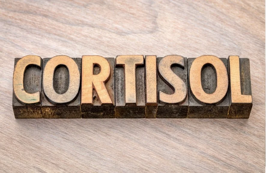 How to Naturally Support Healthy Cortisol Levels in Women