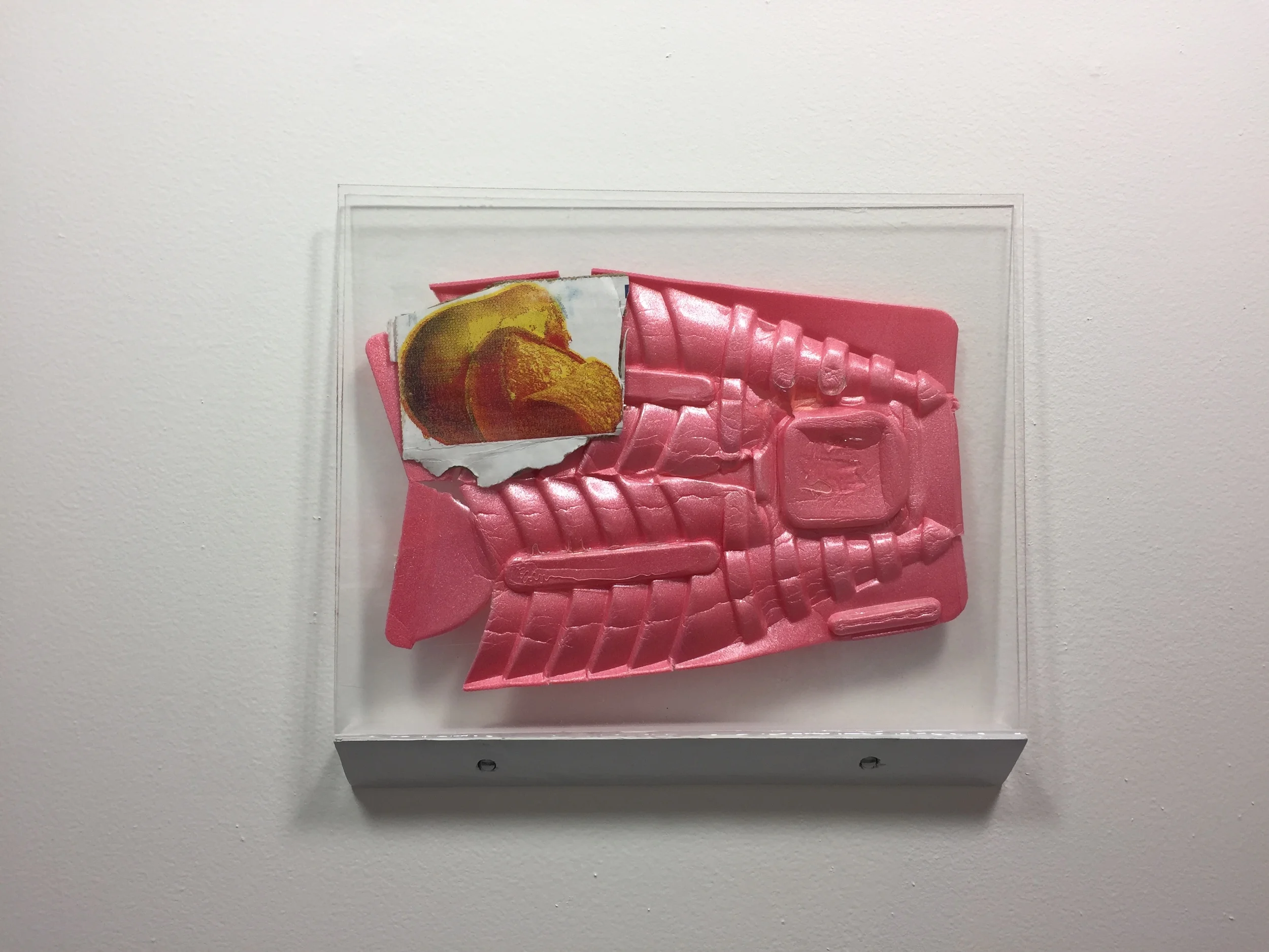  American Mango - 2015 - 11x14 inches - Plexiglass - Styrofoam - Cardboard - Wood 