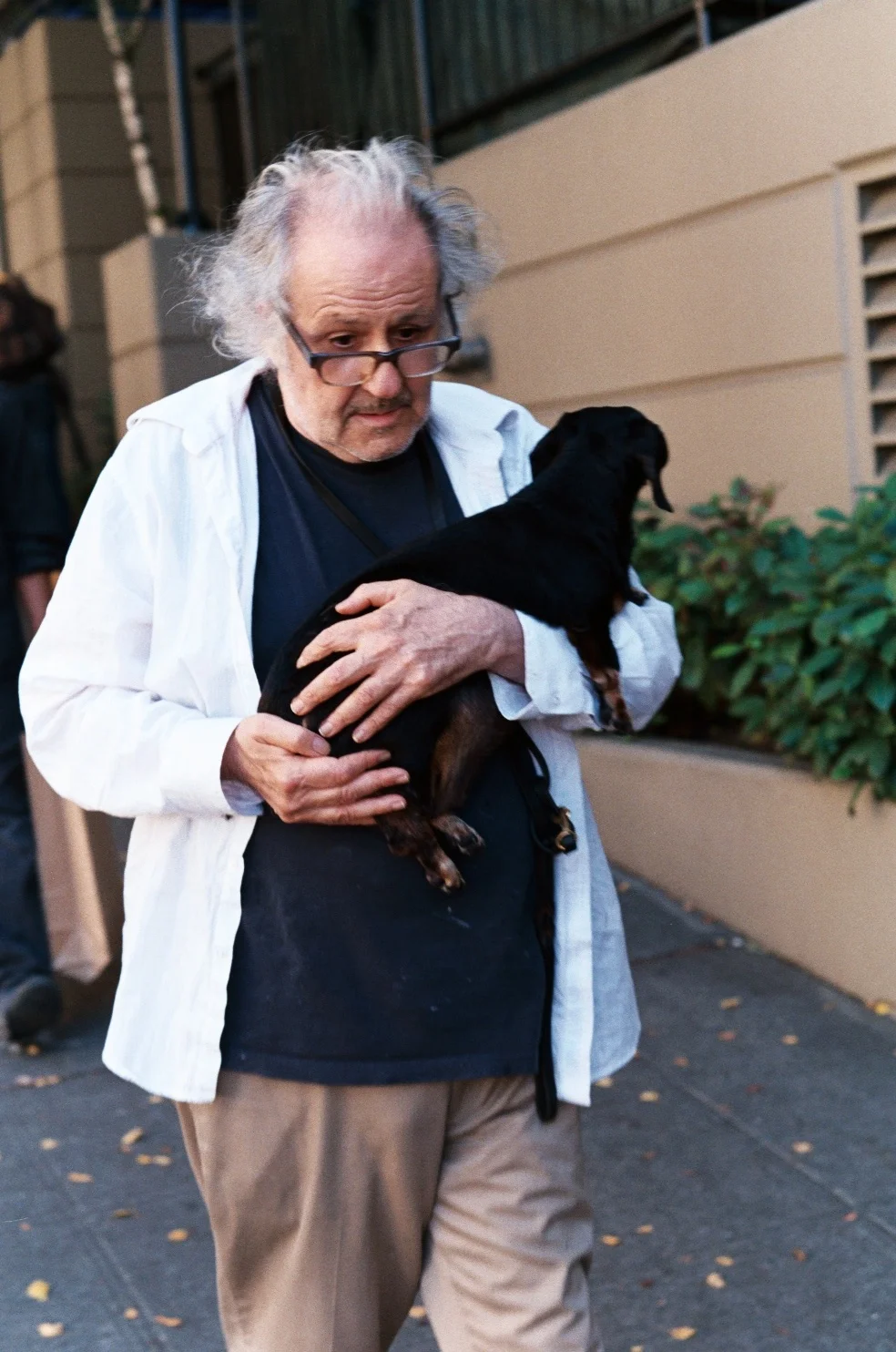 dogman.JPG